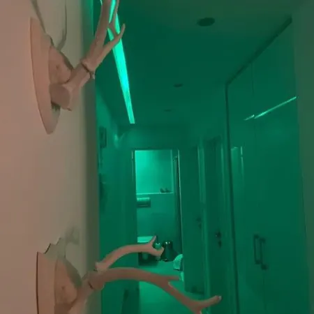Sanat Ve Stillerin Bulustugu Mekan
